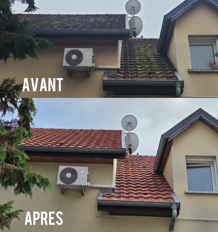 Réalisation — François Multi-Services : Démoussage