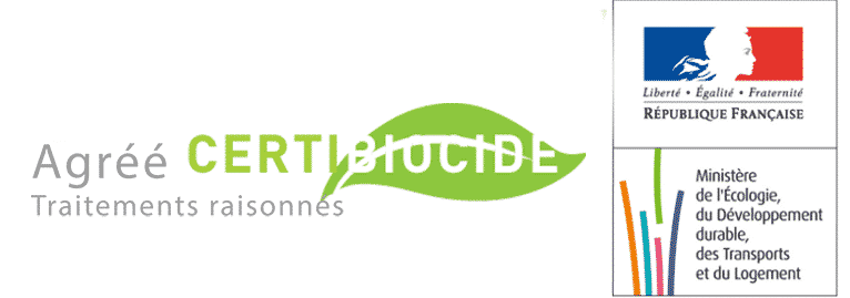 Réalisation — François Multi-Services : Démoussage